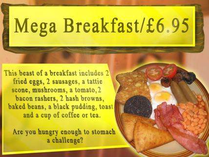 mega technical promo